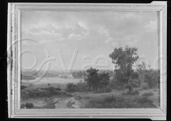 Glassplate og negativ film