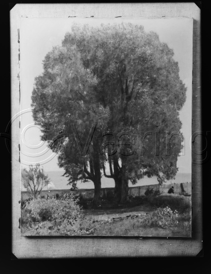 Glassplate