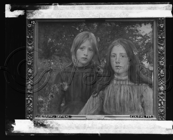 Glassplate negativ og negativ bladfilm