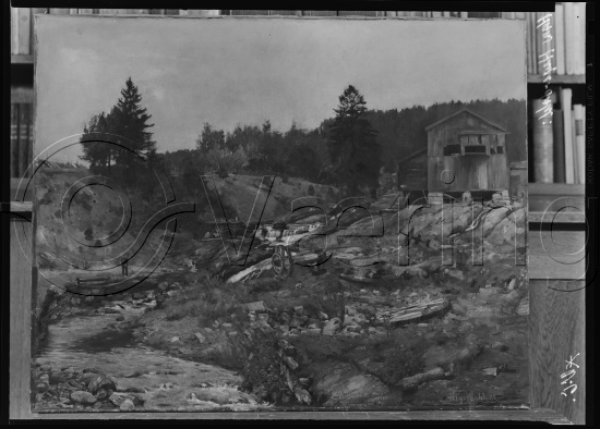 Glassplate negativ og negativ bladfilm