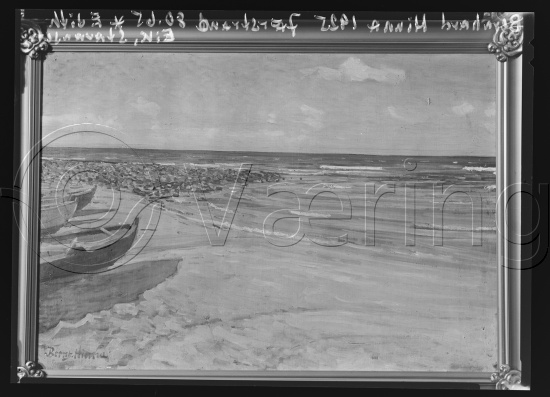 Glassplate og negativ film