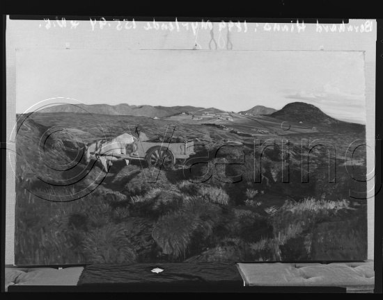 Glassplate og negativ film