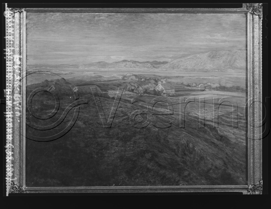 Glassplate og negativ film