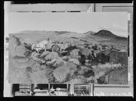 Glassplate og negativ film