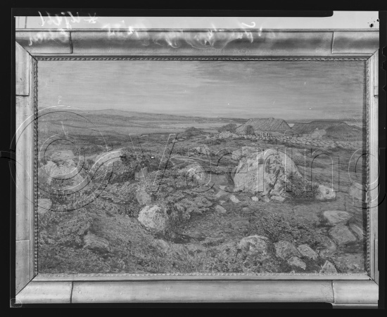 Glassplate og negativ film