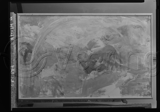 Glassplate og negativ film