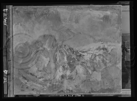 Glassplate og negativ film