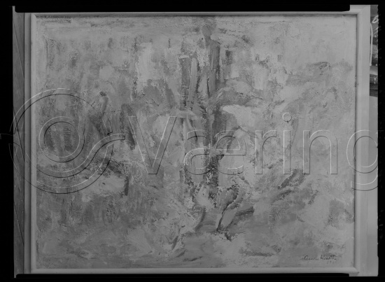 Glassplate og negativ film