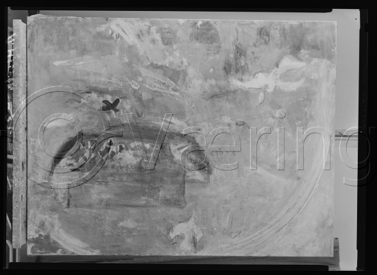 Glassplate og negativ film