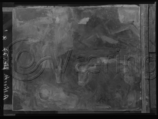 Glassplate og negativ film