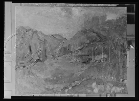 Glassplate og negativ film
