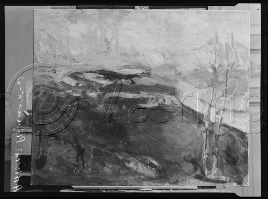 Glassplate og negativ film