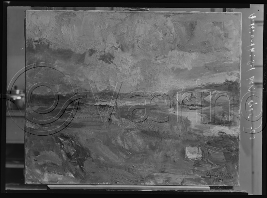 Glassplate og negativ film