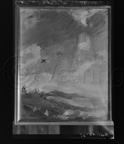 Glassplate og negativ film