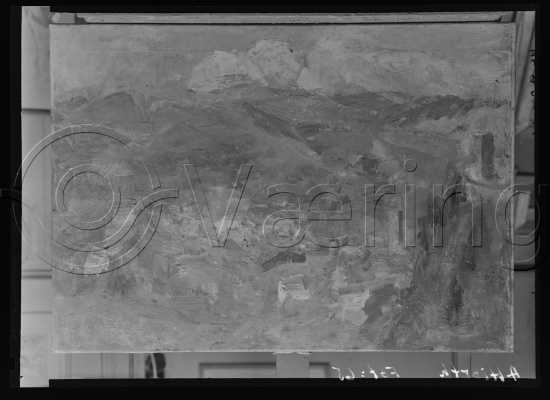 Glassplate og negativ film