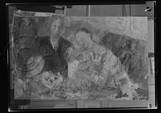 Glassplate og negativ film