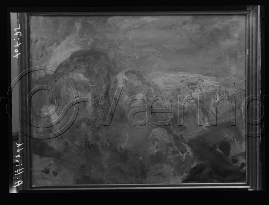 Glassplate og negativ film