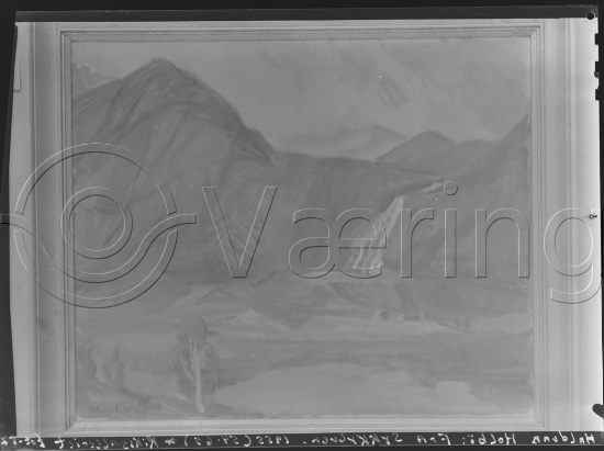 Glassplate og negativ film
