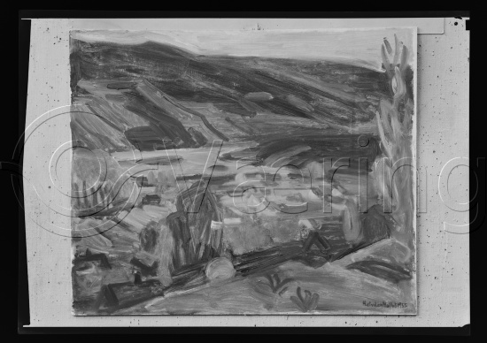 Glassplate og negativ film