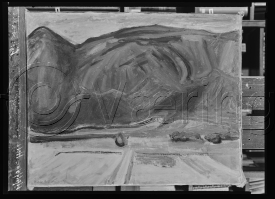 Glassplate og negativ film
