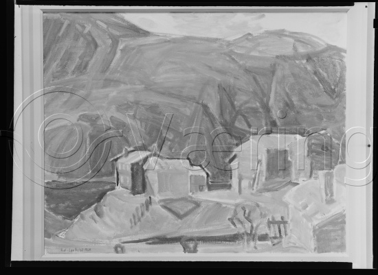 Glassplate og negativ film