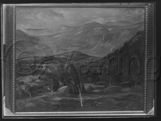 Glassplate og negativ film