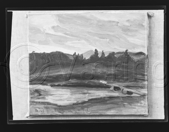 Glassplate og negativ film