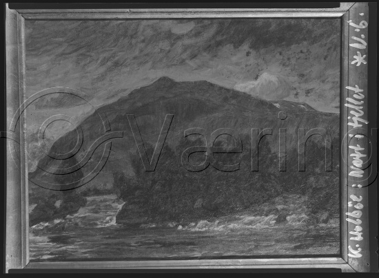 Glassplate og negativ film