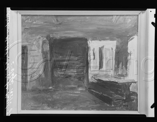 Glassplate og negativ film