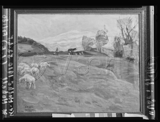Glassplate og negativ film
