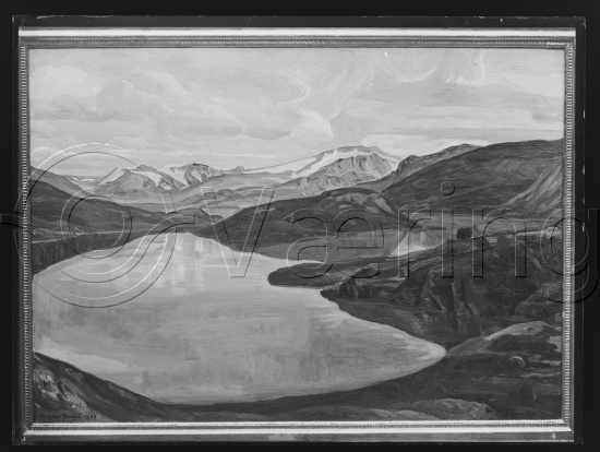 Glassplate og negativ film