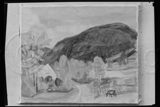 Glassplate og negativ film