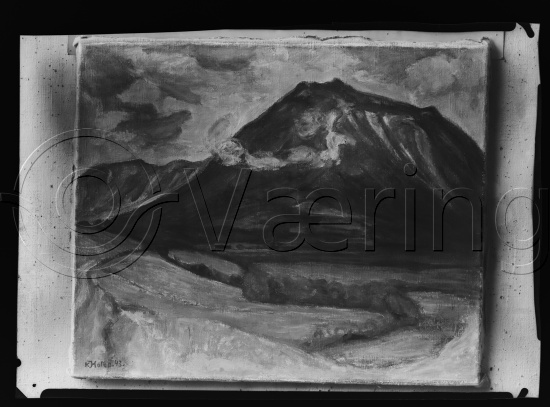 Glassplate og negativ film