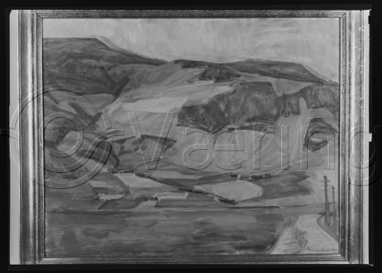 Glassplate og negativ film