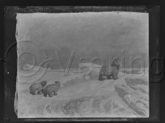 Glassplate og negativ film