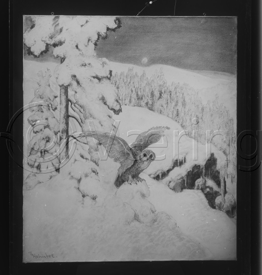 Glassplate og negativ film