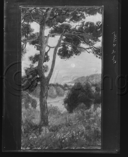 Glassplate og negativ film