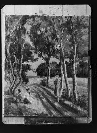 Glassplate og negativ film