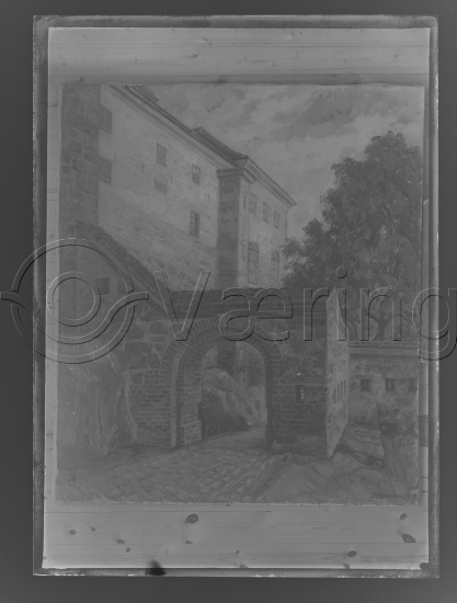 Glassplate og negativ film