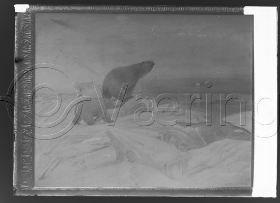 Glassplate og negativ film