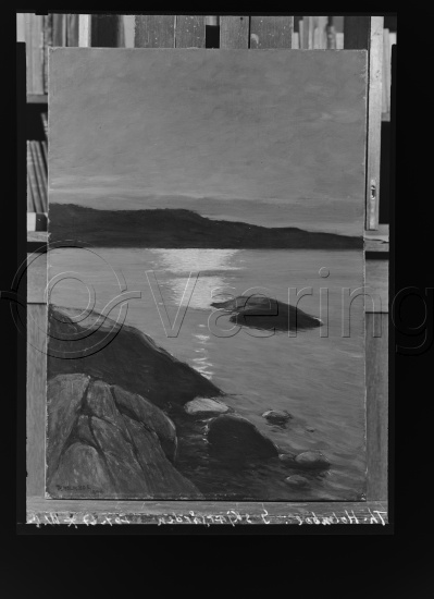 Glassplate og negativ film