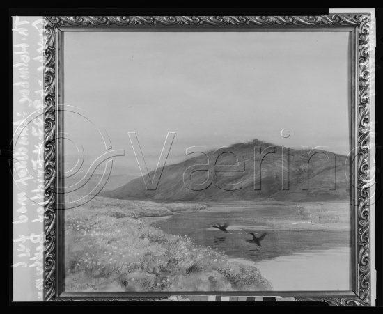 Glassplate og negativ film