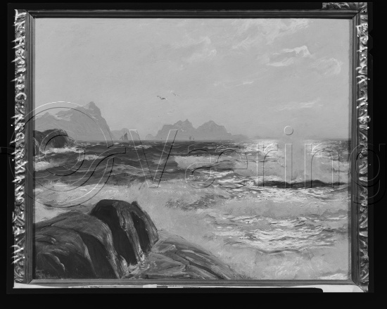 Glassplate og negativ film