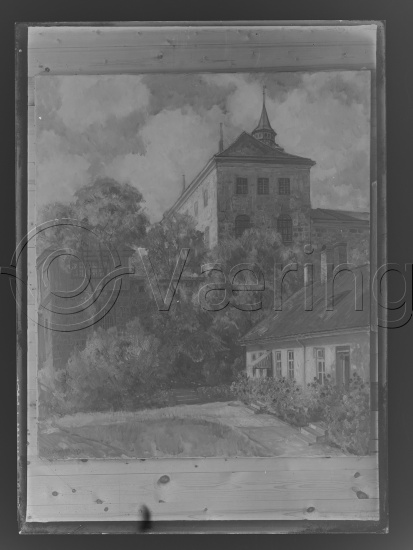 Glassplate og negativ film