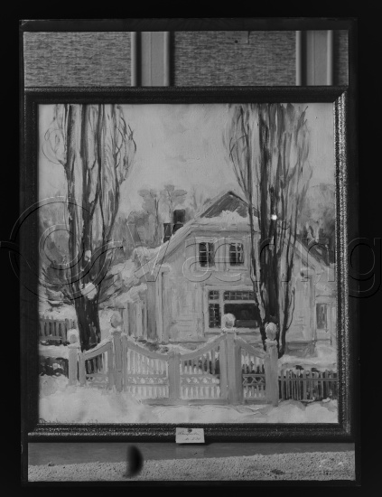 Glassplate og negativ film