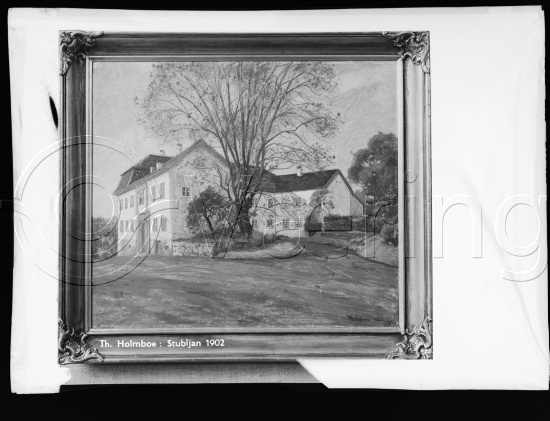 Glassplate og negativ film