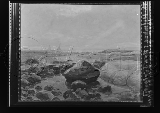 Glassplate og negativ film