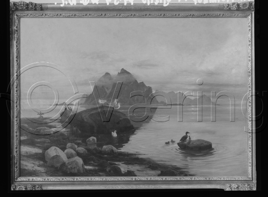 Glassplate og negativ film