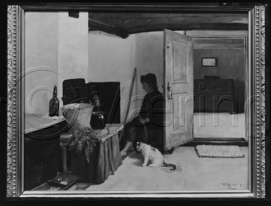 Glassplate og negativ film
