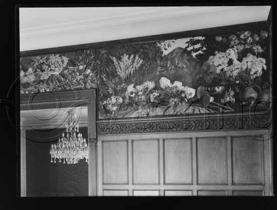 Glassplater og negativ film